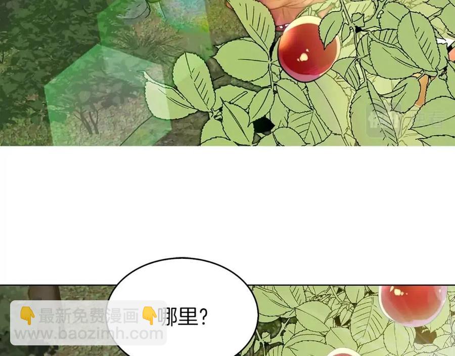 第 81 页