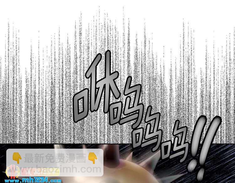 第 121 页