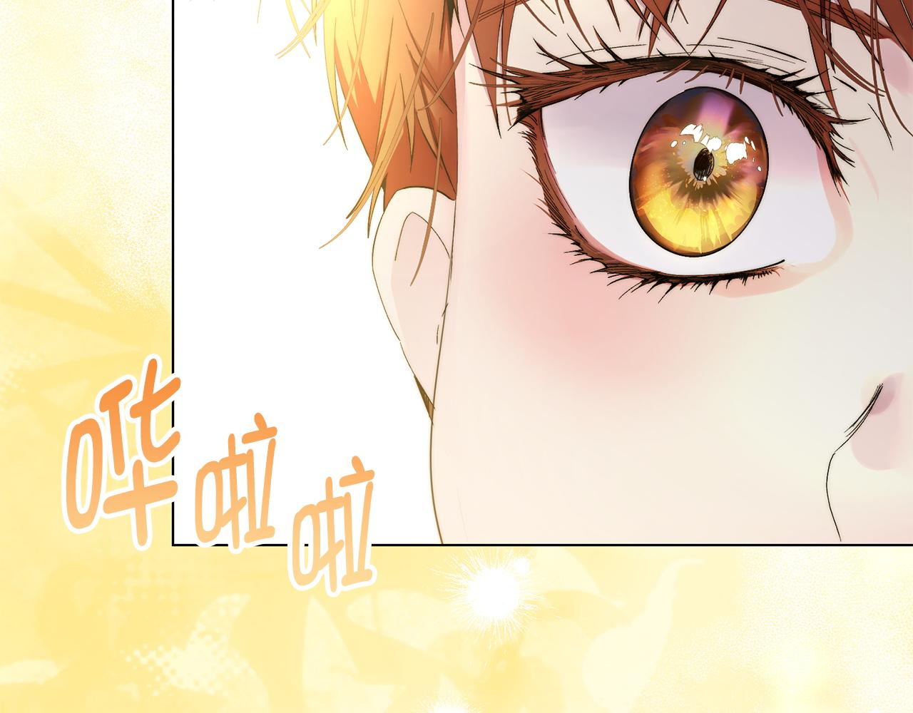 第 110 页
