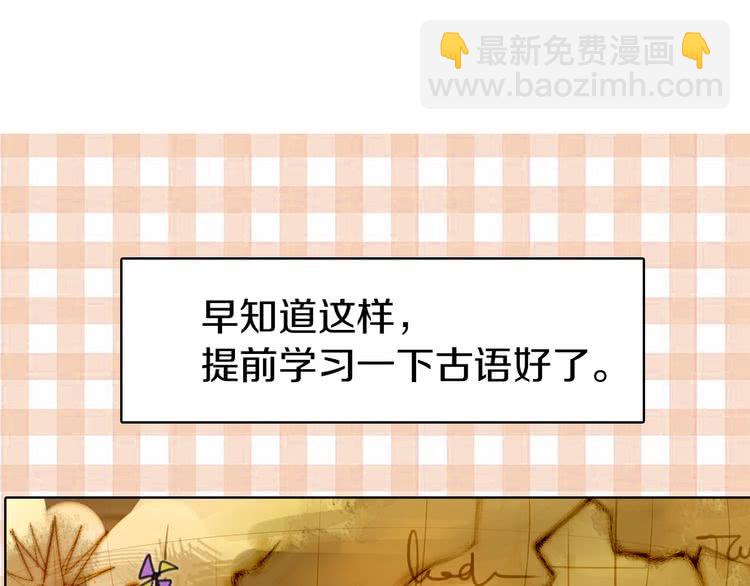 第 41 页