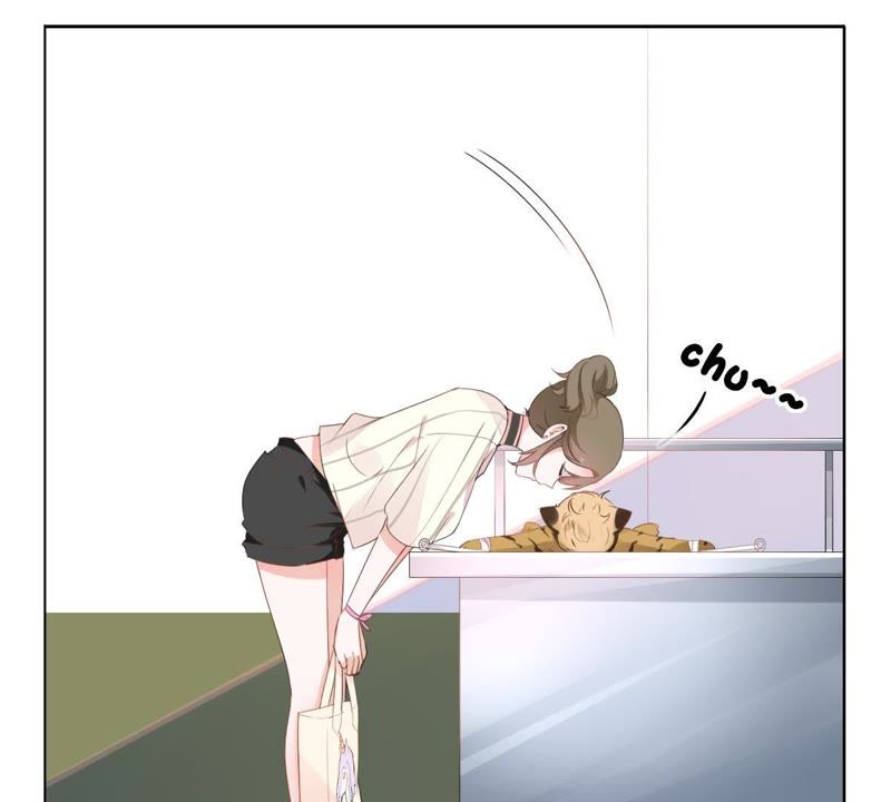 第 94 页