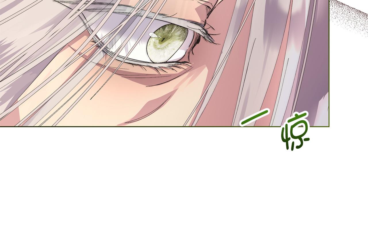 第 85 页