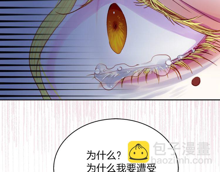 第 95 页