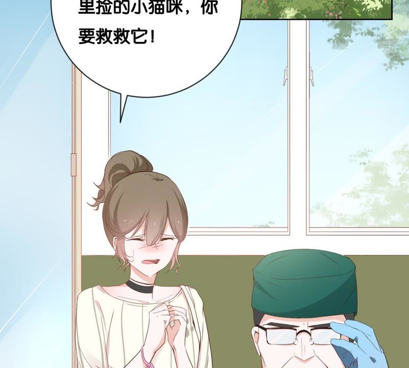 第 85 页