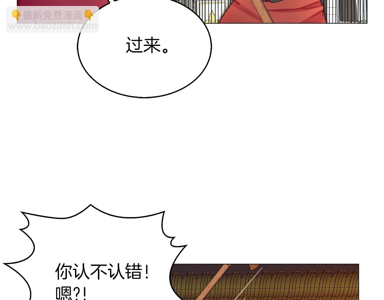 第 113 页