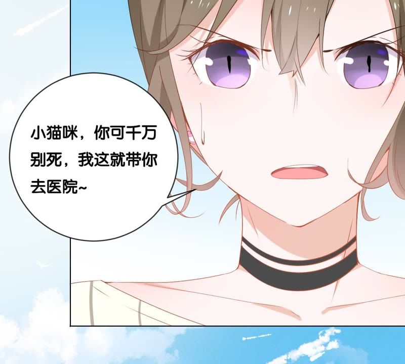 第 81 页