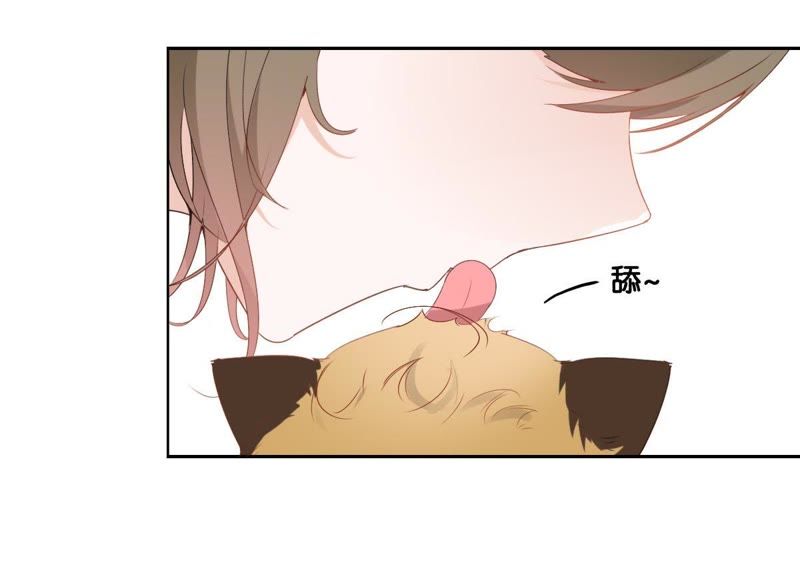 第 96 页