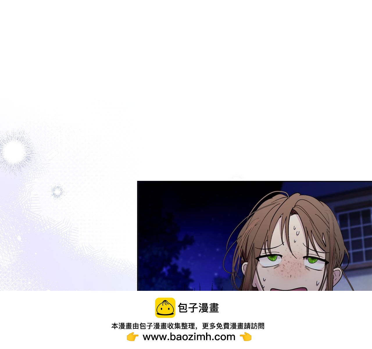 第 100 页