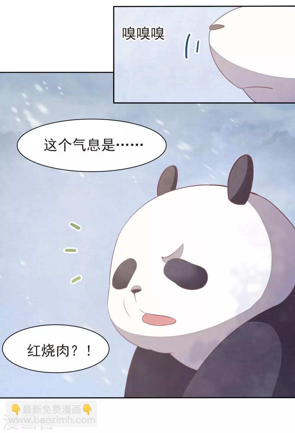 第 51 页