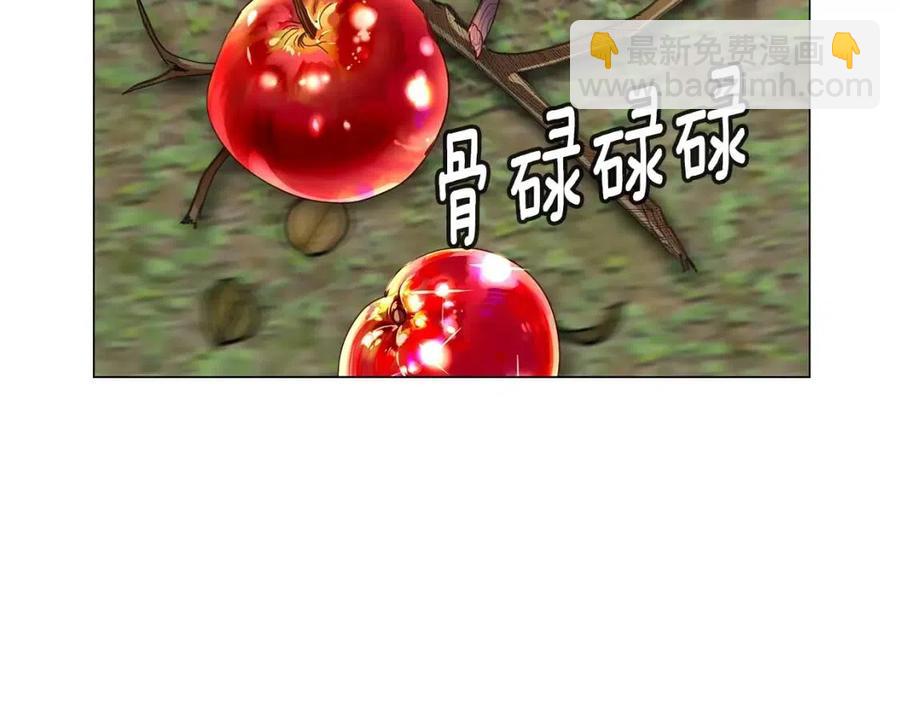第 113 页