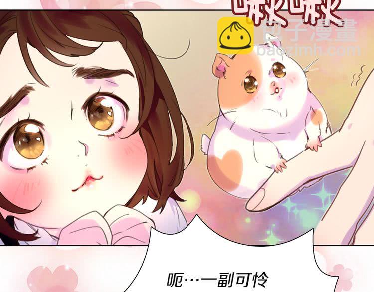 第 117 页