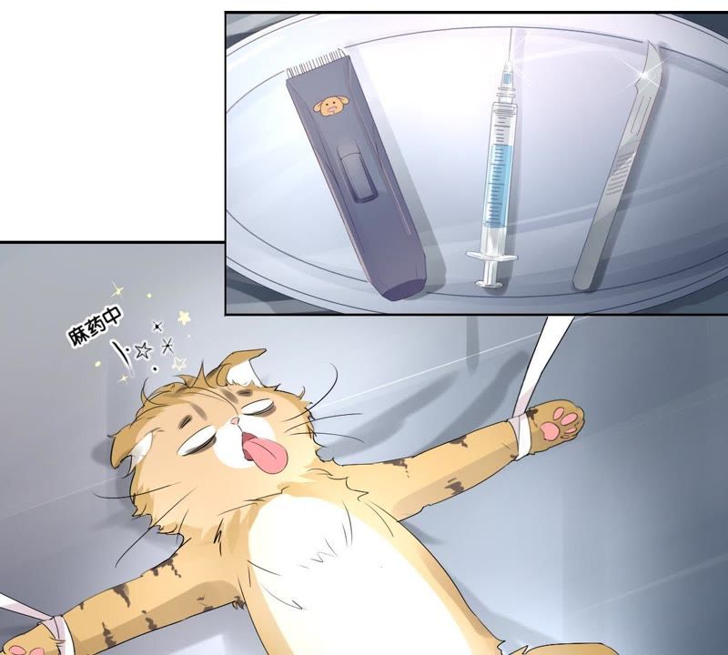第 91 页