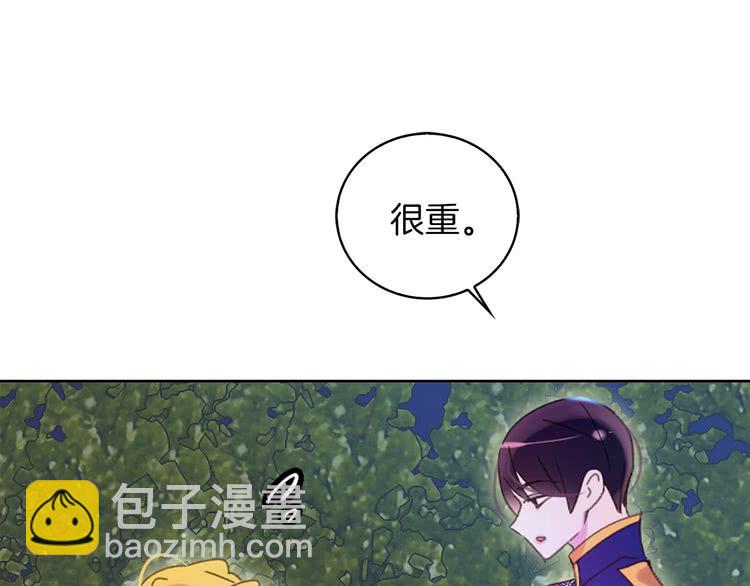 第 111 页