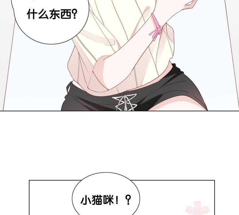 第 71 页