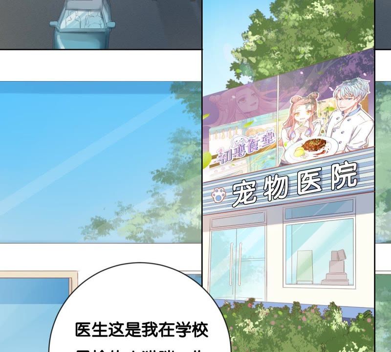 第 84 页
