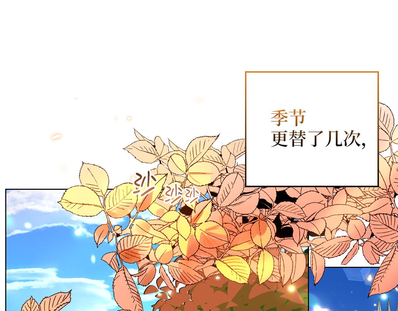 第 121 页