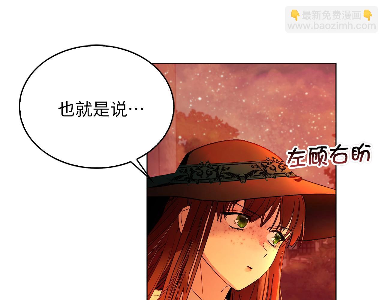 第 111 页