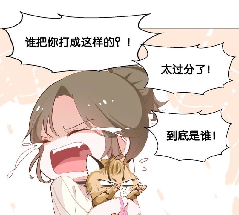 第 73 页