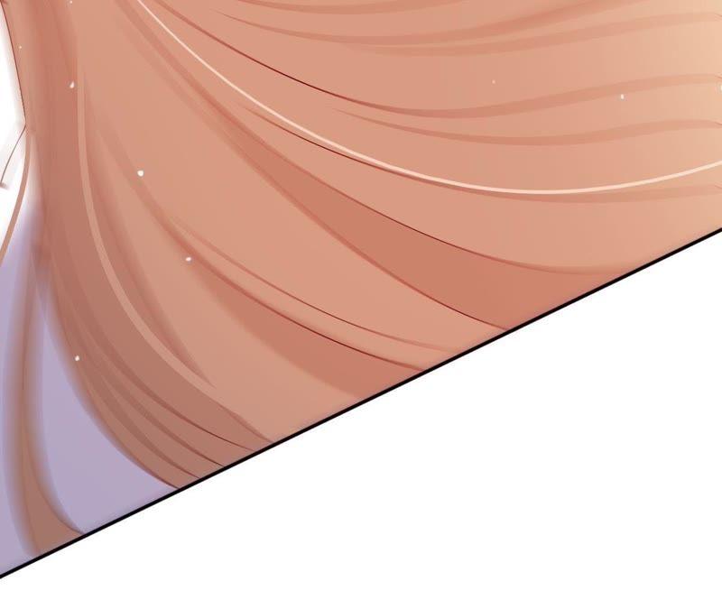 第 113 页
