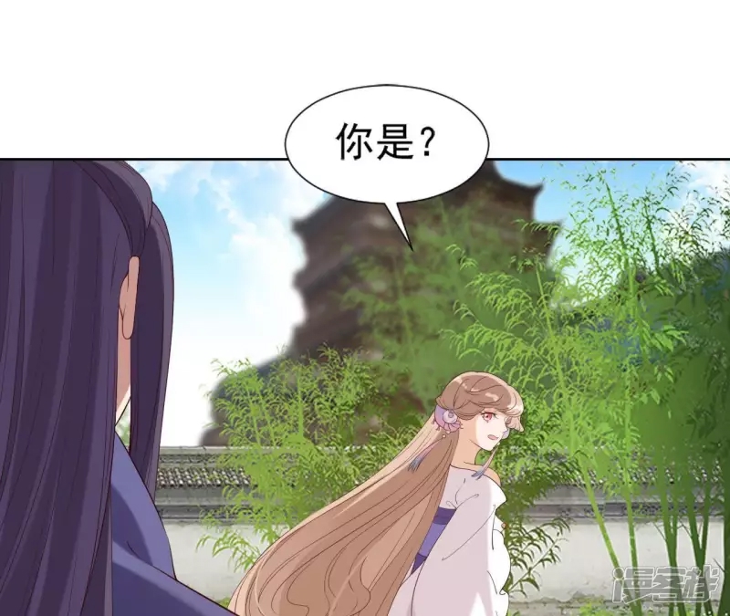 第 48 页