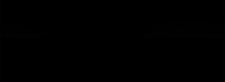 第 111 页