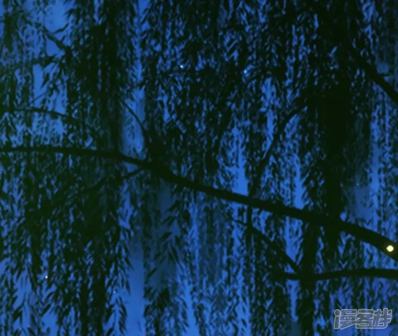 第 46 页