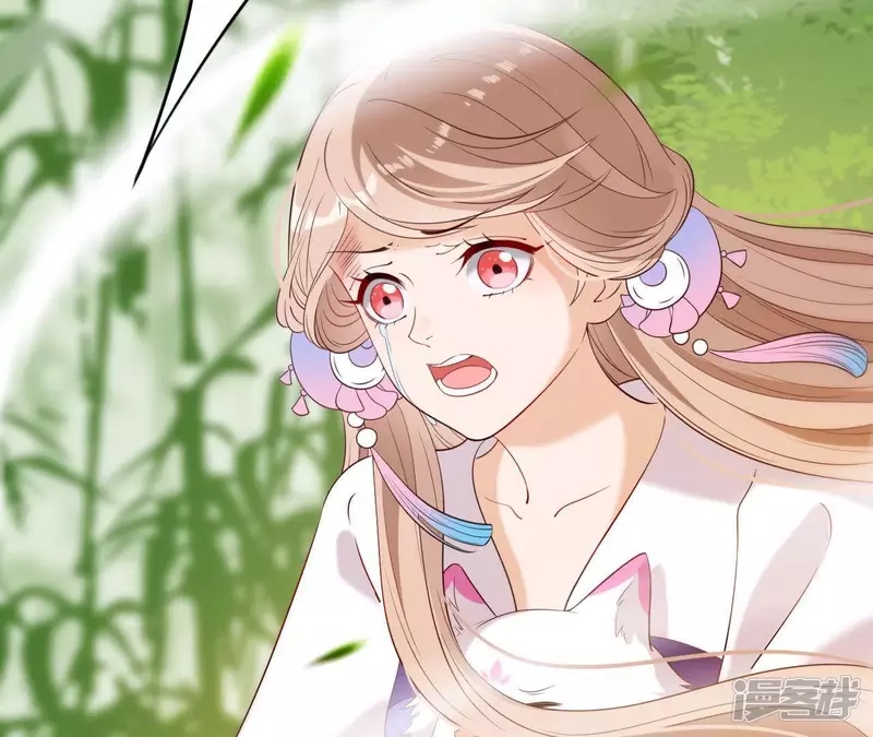 第 84 页