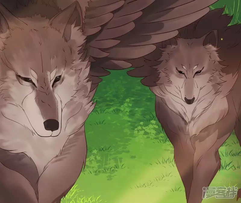 第 67 页