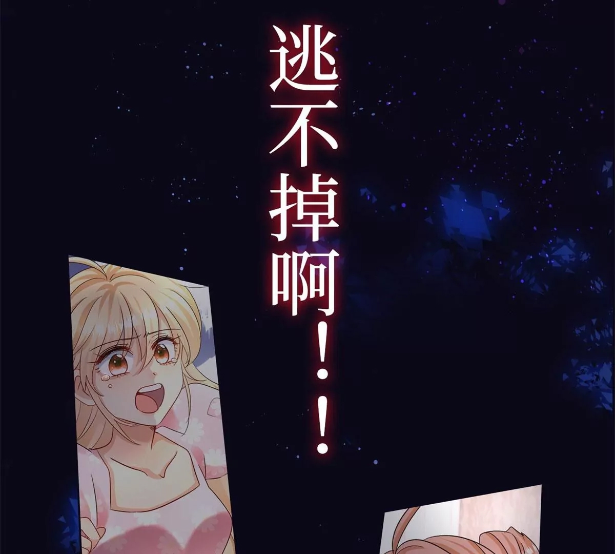 第 48 页