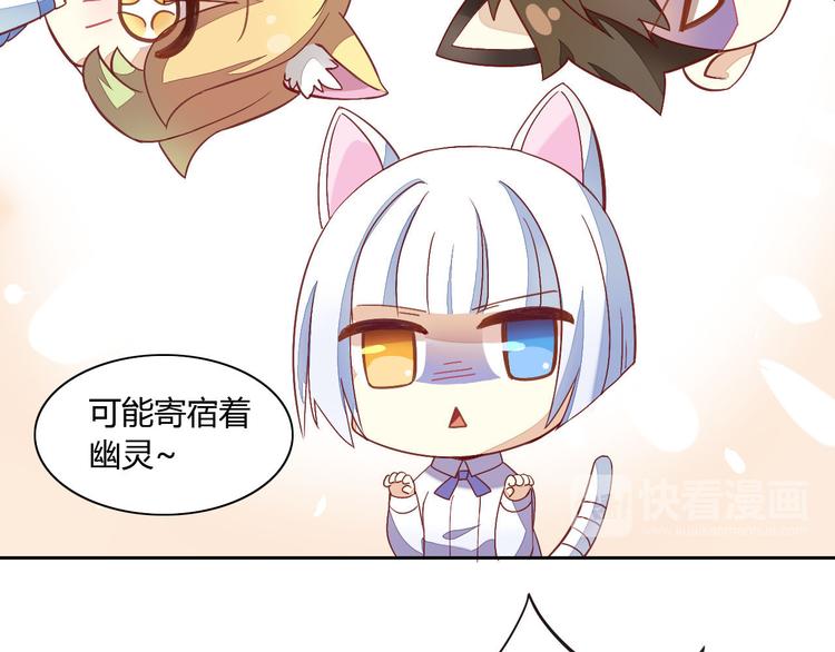第 41 页