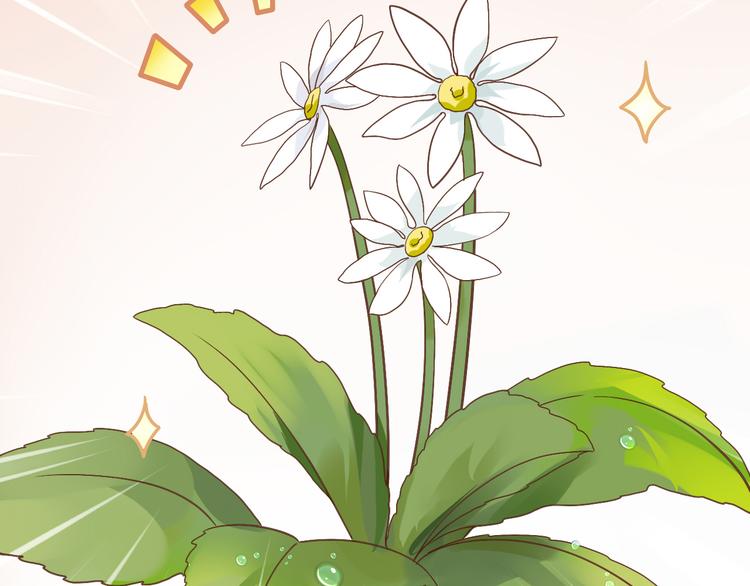 第 66 页