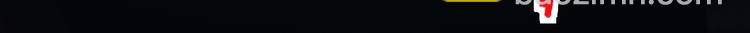 第 219 页