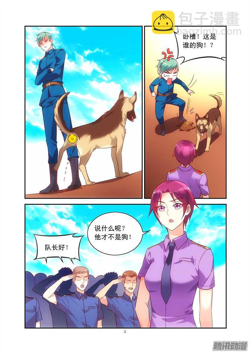 第 3 页