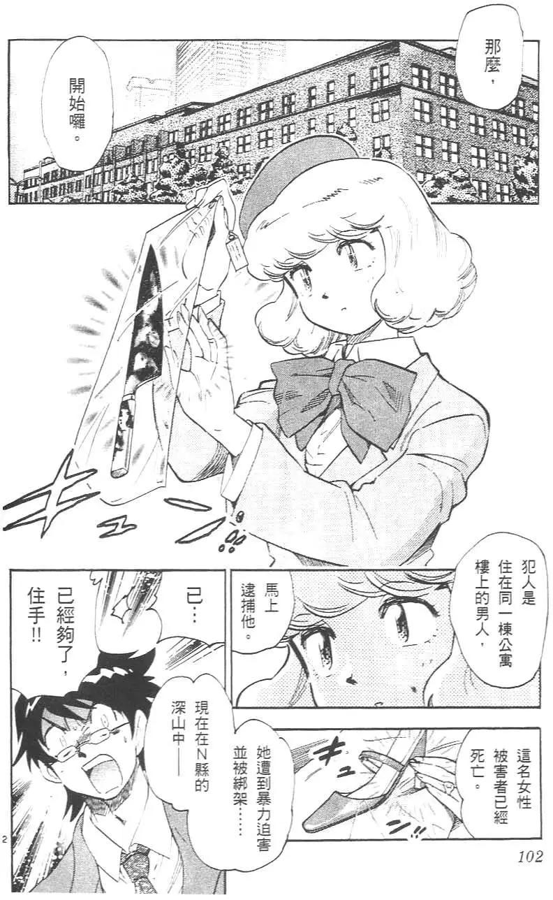 第 106 页