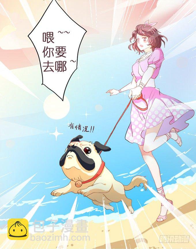 第 43 页