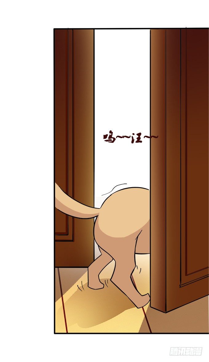 第 81 页