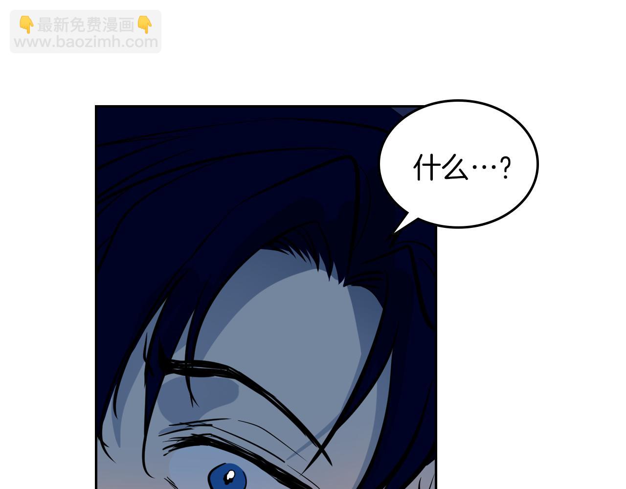 第 113 页