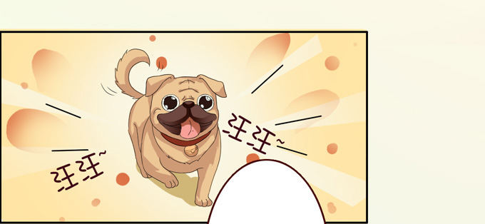 第 117 页