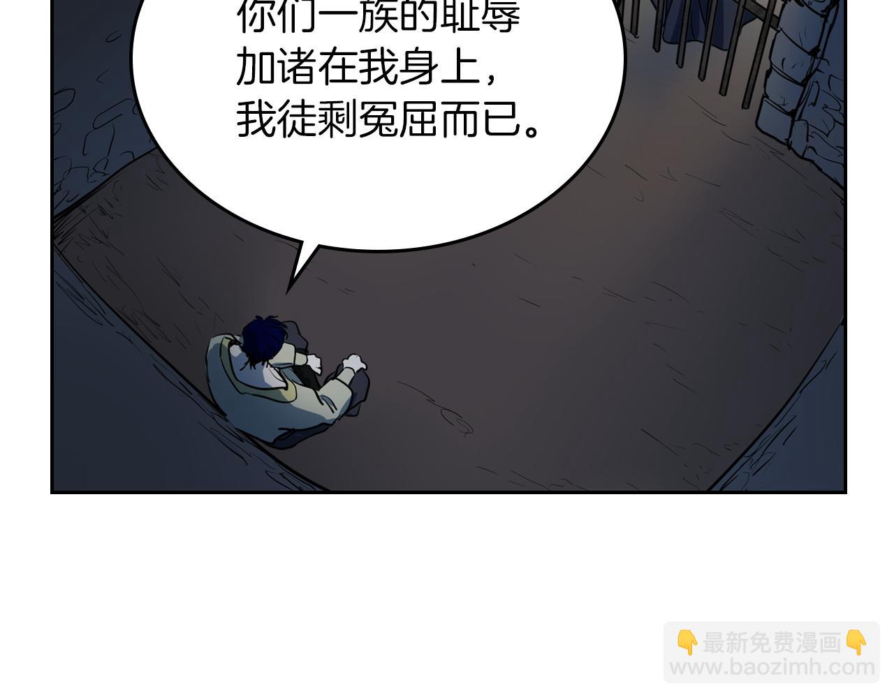 第 110 页