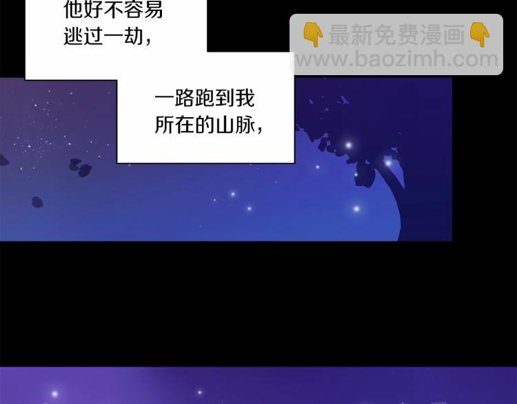 第 75 页
