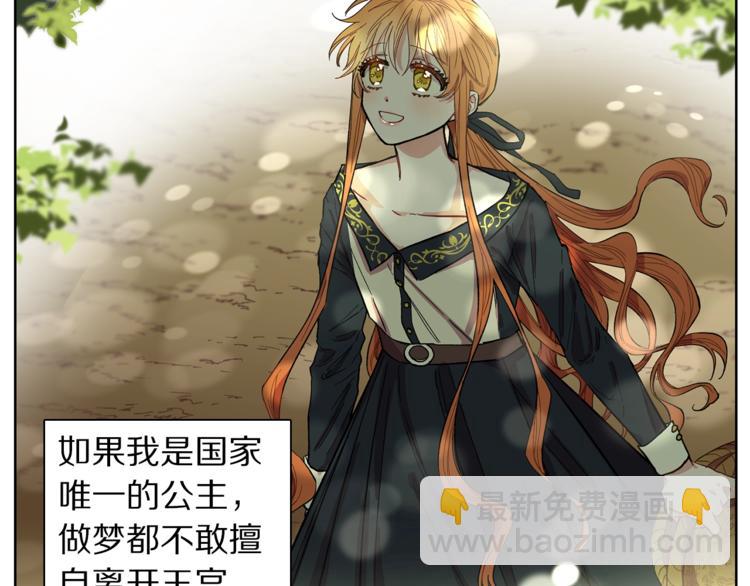 第 81 页