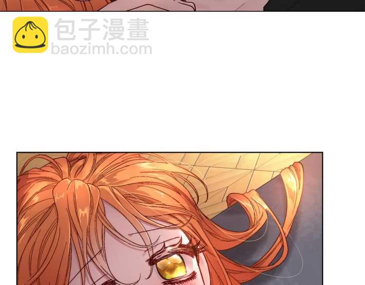 第 100 页