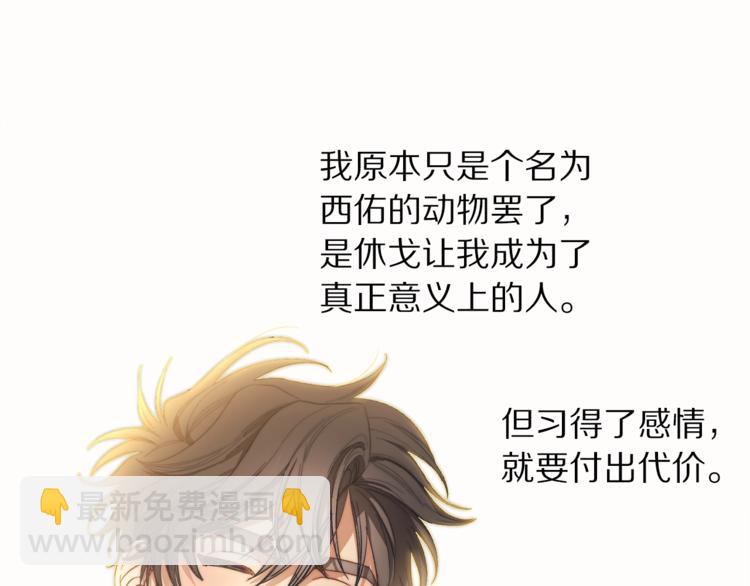 第 97 页