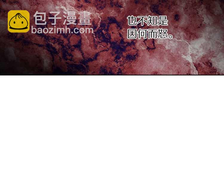 第 111 页