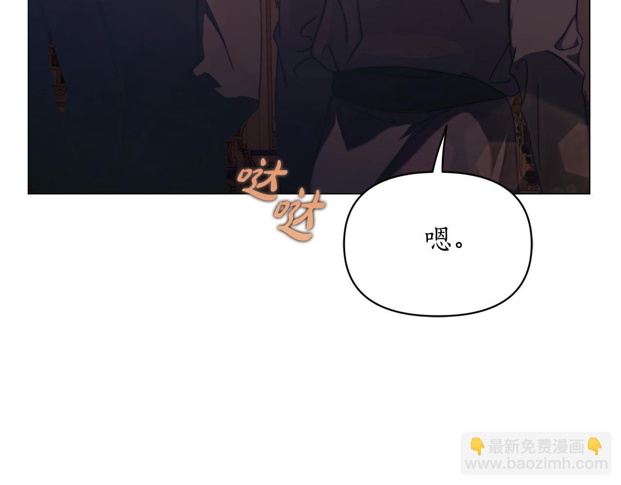 第 111 页