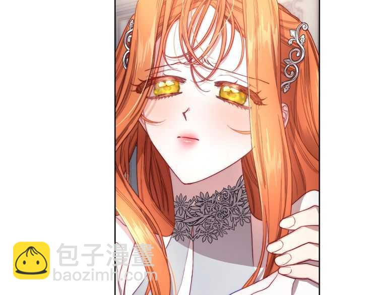 第 113 页