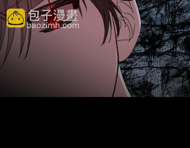 第 111 页