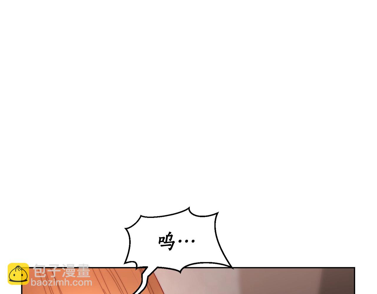 第 111 页
