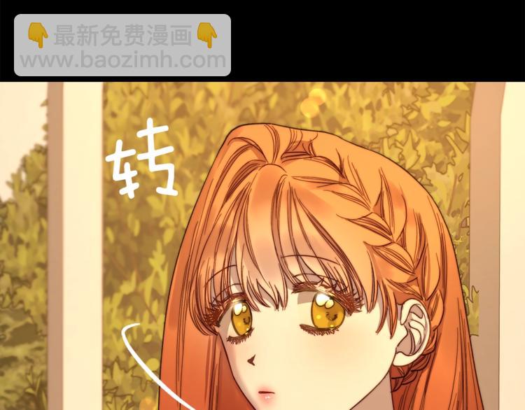 第 164 页