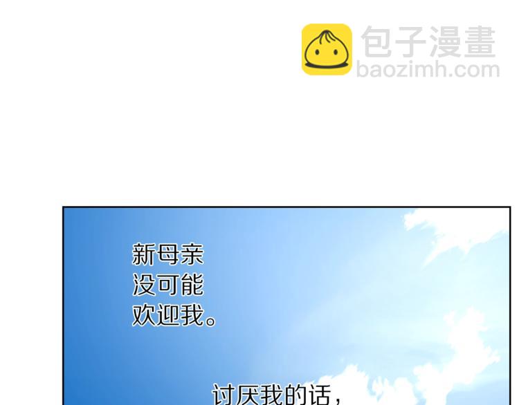 第 113 页